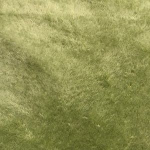 Meet your Posher, Nichole